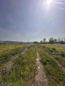 Arsa-Tarla