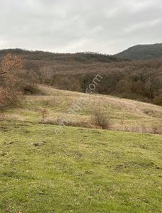 Arsa-Tarla