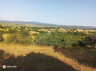 Arsa-Tarla