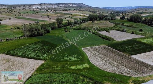 Arsa-Tarla