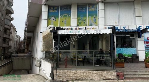 İşyeri-Dükkan & Mağaza