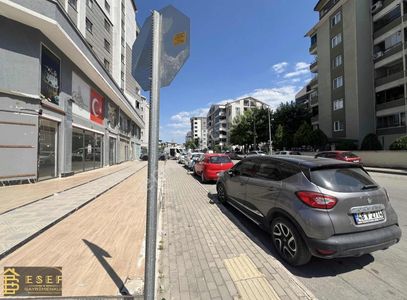 İşyeri-Dükkan & Mağaza