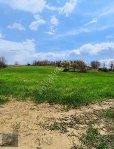 Arsa-Tarla