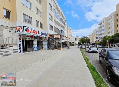 İşyeri-Dükkan & Mağaza