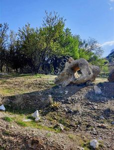 Arsa-Bağ & Bahçe