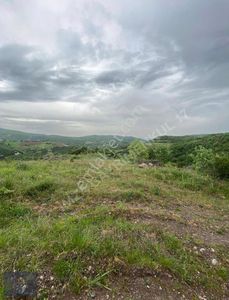 Arsa-Tarla