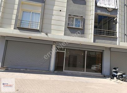 İşyeri-Dükkan & Mağaza
