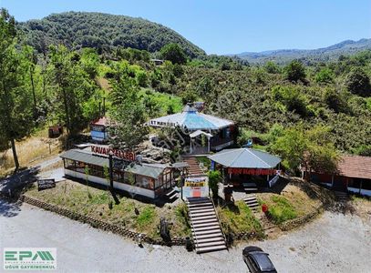 İşyeri-Restaurant