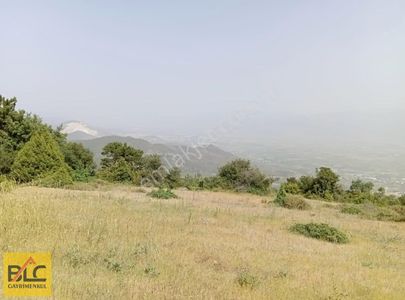 Arsa-Tarla