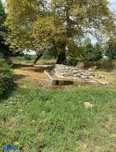 Arsa-Tarla