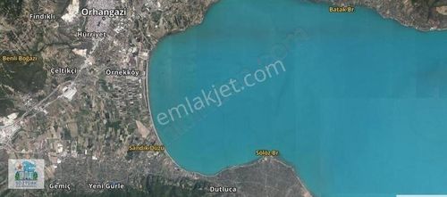 Arsa-Zeytinlik