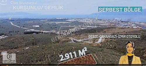 Arsa-Zeytinlik