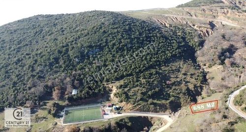 Arsa-Tarla
