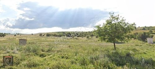 Arsa-Tarla