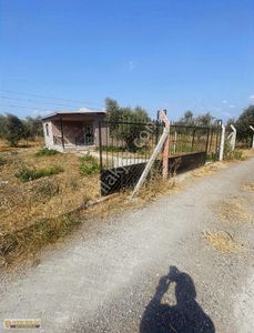 Arsa-Bağ & Bahçe