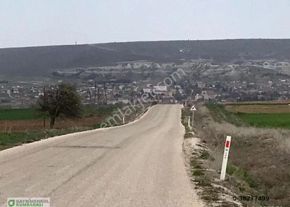 Arsa-Tarla