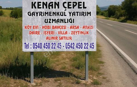 Arsa-Zeytinlik