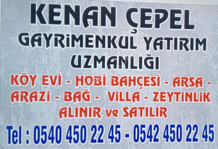 Arsa-Zeytinlik
