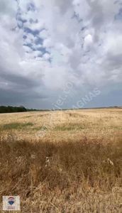 Arsa-Tarla