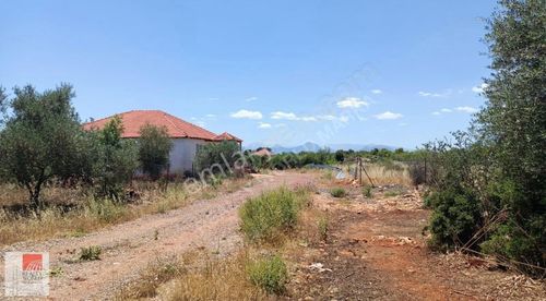 Arsa-Tarla