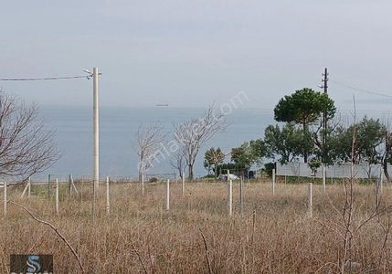 Arsa-Konut İmarlı