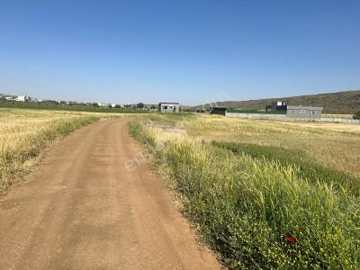 Arsa-Tarla