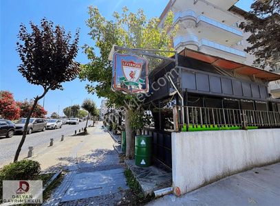 İşyeri-Kafe & Bar