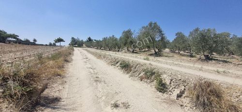 Arsa-Tarla