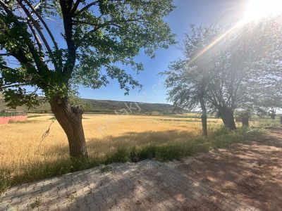 Arsa-Tarla
