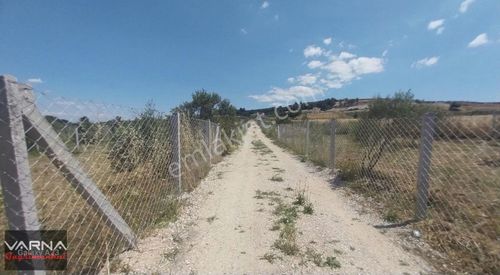 Arsa-Tarla