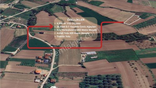 Arsa-Tarla