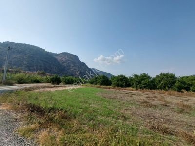 Arsa-Tarla