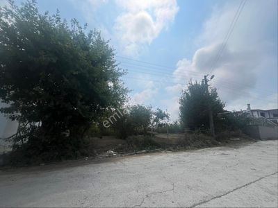 Arsa-Bağ & Bahçe