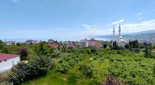 Arsa-Bağ & Bahçe