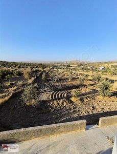 Arsa-Tarla