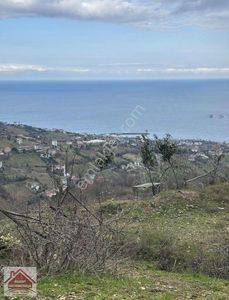 Arsa-Tarla