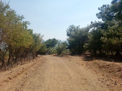 Arsa-Tarla