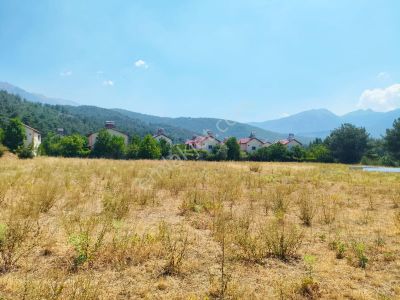 Arsa-Konut İmarlı
