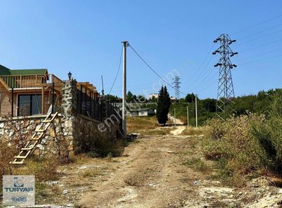 Arsa-Konut İmarlı