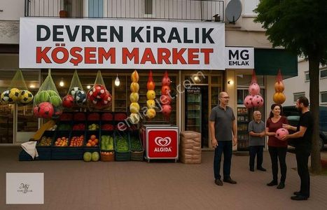 İşyeri-Dükkan & Mağaza