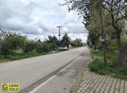 Arsa-Tarla