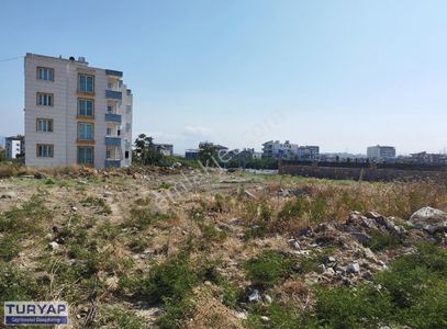 Arsa-Konut İmarlı