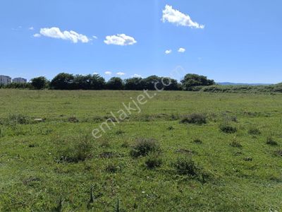 Arsa-Villa İmarlı