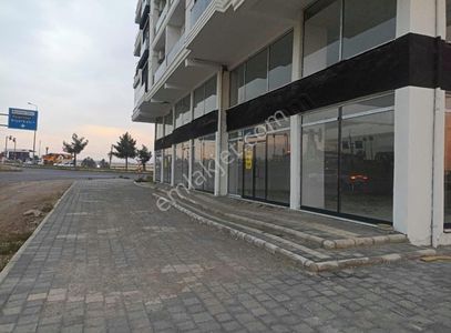 İşyeri-Dükkan & Mağaza