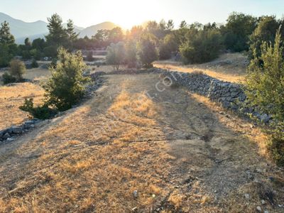 Arsa-Tarla