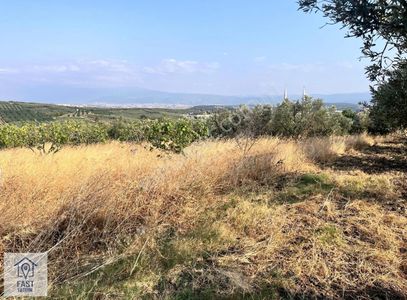 Arsa-Tarla