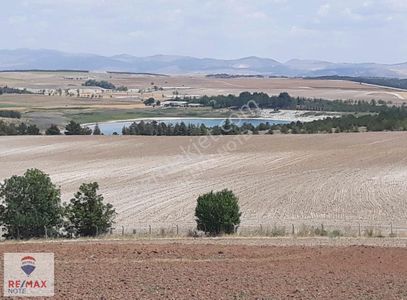 Arsa-Tarla