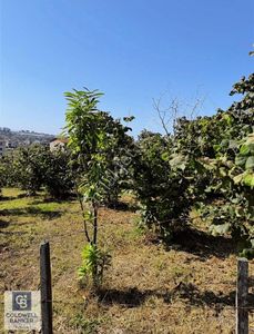 Arsa-Bağ & Bahçe