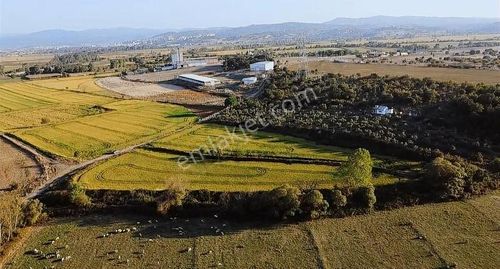 Arsa-Depo, Antrepo İzinli