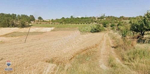 Arsa-Tarla